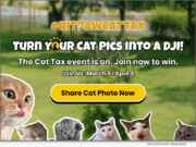 HitPaw announces its Playful ‘Pay the Cat Tax’ 2026 Campaign – Win Prizes by Sharing and Caring for Your Cat